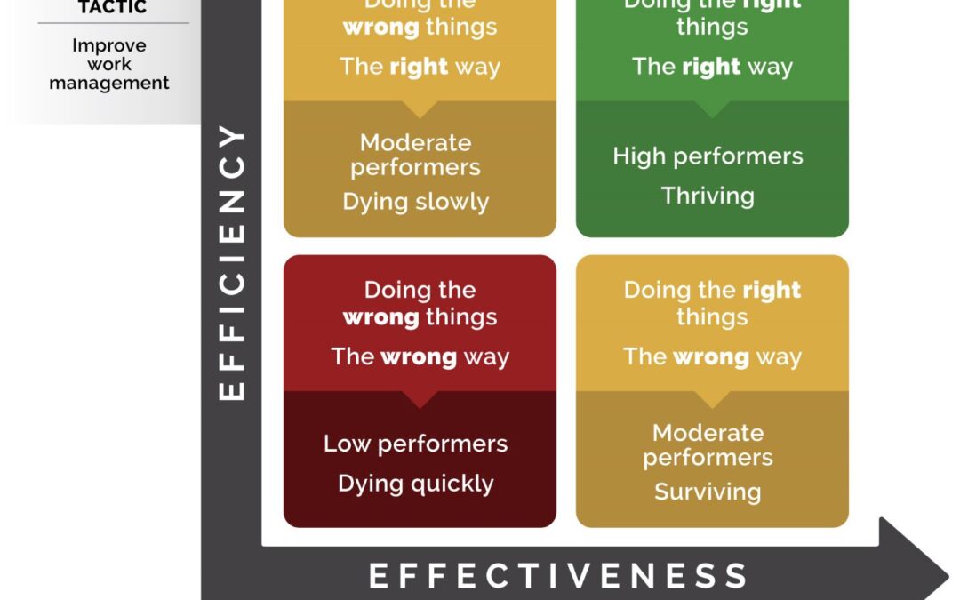 Reactive vs Proactive: What Actually Protects Performance?